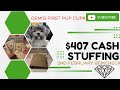 How to give your money a Job | Cash Stuffing Cash Wallet | Demi tries a Pup Cup