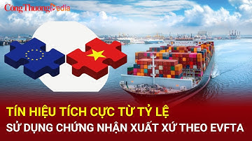 Tín hiệu tích cực từ tỷ lệ sử dụng chứng nhận xuất xứ theo EVFTA | Báo Công Thương