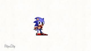 Celebrity Sonic 1 sprite animation test Net Worth