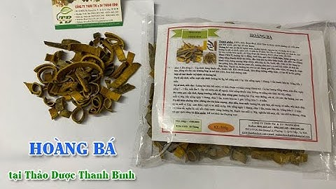 Hoàng Bá - Công dụng của hoàng bá