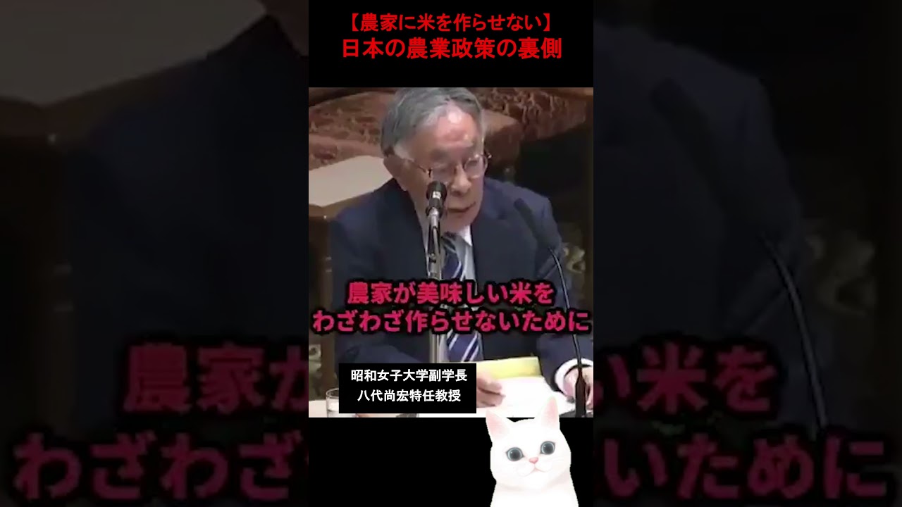 【衝撃】米は“わざと高くされてる”減反の闇