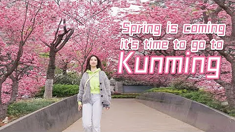 The gathering place for spring is Kunming, isn't it?春天集散地是昆明沒錯吧？丨曼食慢語 - 天天要聞