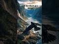 POV: The Only Survivor Wasn't Human #raven #mythology #twist