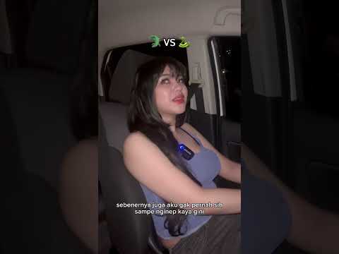 Buaya vs ular menuju pulang atau lanjut