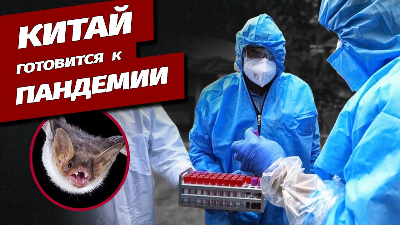 Экстренные меры в Китае из-за опасного вируса