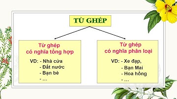 Luyện Từ và câu - Lớp 4 : Luyện tập về từ ghép, từ láy