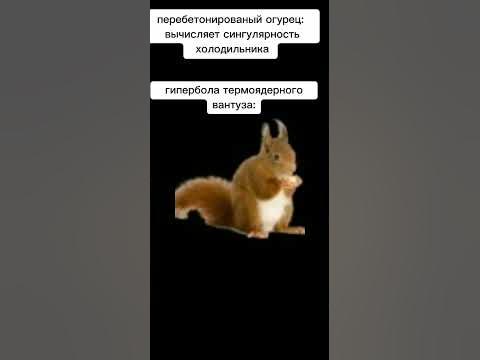 белка - YouTube