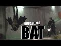 BAT PRANK (REMI GAILLARD) 🦇