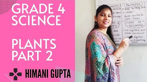 Class 4| L-1 |PLANTS: The Storehouse Of Food |Part 2 A| Explained by Ms Himani Gupta