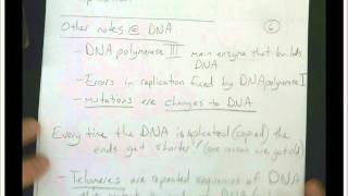 AP Biology Chapter 16 DNA History and Replication Part 3
