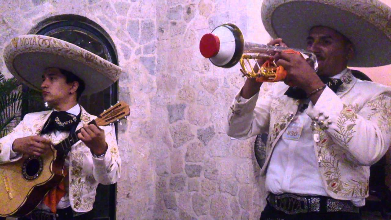 EL DOS NEGRO PASO DOBLE MARIACHI MOYA