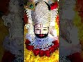 🚩 Khatu Shyam Ji Ki Kripa Sab Par 🙏 #ShyamBaba#Jai Shyam 🙏 | #Shorts