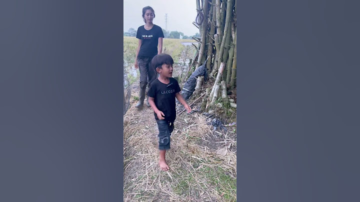 Menemukan burung paling jahat #shorts #burung