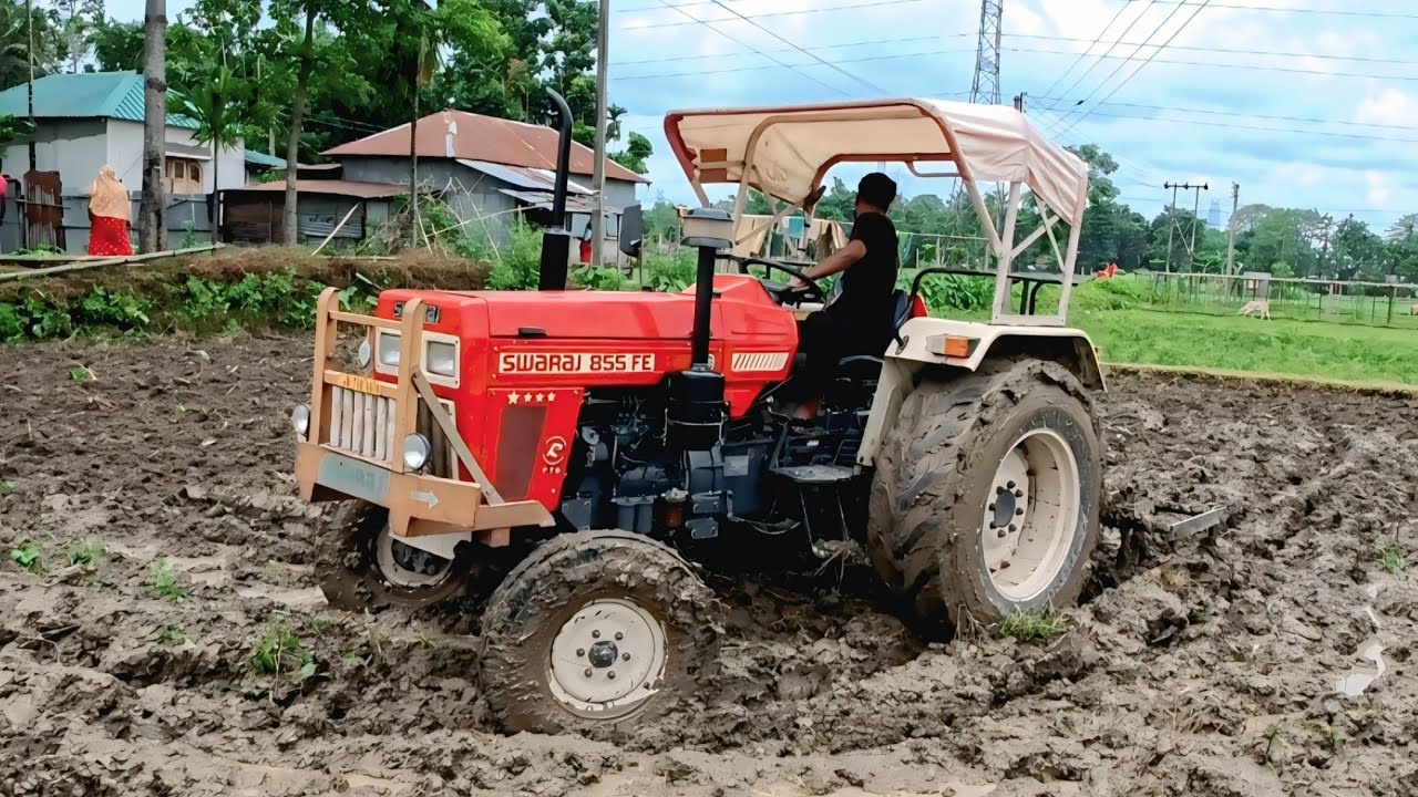 Swaraj 855 FE Tractor Working In Kaltivator With Rice Seeds Prepare | Mud Farming | Rafiktractorwala
