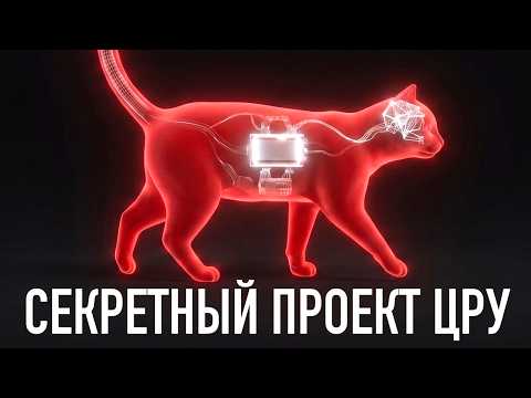 ЦРУ Скрывало этот проект 50 лет. Животные-Шпионы
