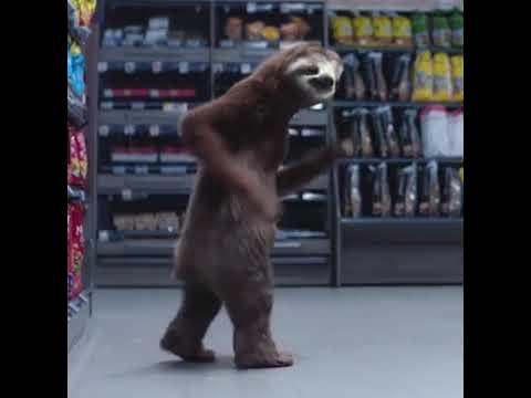 танцующий ленивец - YouTube