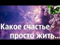 КАКОЕ СЧАСТЬЕ - ПРОСТО ЖИТЬ#песня в исполнении Валерия Кадочникова