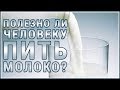 МОЛОКО. Творог. Сыр. Вред молока и молочных продуктов. Узнайте Правду!