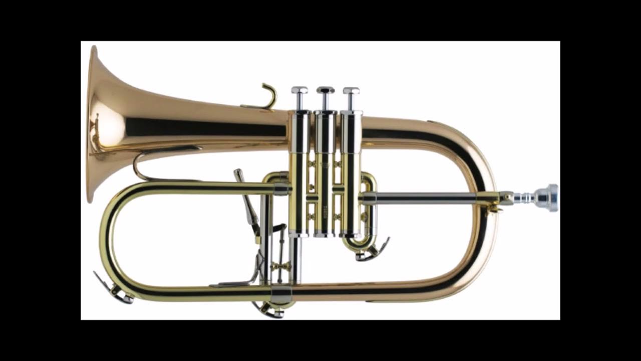Flugel Horn Concerto / Darrol Barry YouTube
