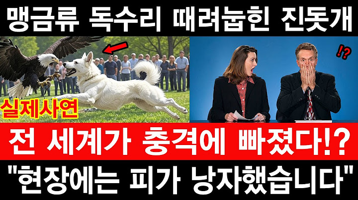 [해외감동사연] 한국에서 온 진돗개 백호가 미국을 뒤흔든다! 동물원을 구한 전설의 영웅견과 숨겨진 비밀!