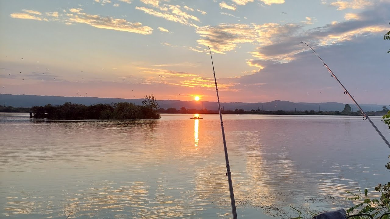 Crapi salbatici pe Olt , partida memorabila , doar salbatic