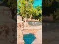 #viral #trending #explorepage #explore #instagram #fyp #instagood #love #reels #like #tiktok #follow