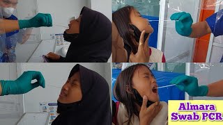 Auto Nangis Semua Almara Swab Pcr