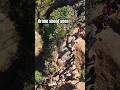 Drone shoot seen #youtubeshorts #chitwanvlog #love #youtube