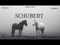 Focus & Study Piano 📚 Schubert | Beethoven | Chopin Mozart