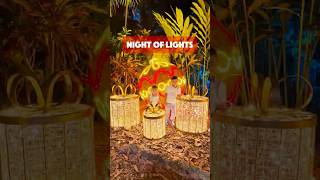 "🌟 Magical Nights of Lights: Holiday Fun Awaits at Pinecrest Gardens! 🎄✨"