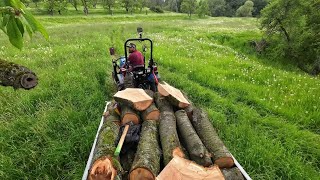 Entschuldigung, ich hab die Holzmacke!