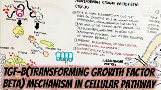 TGF-Beta(Transforming Growth Factor Beta)Mechanism In Cellular Pathway/Types/Significance