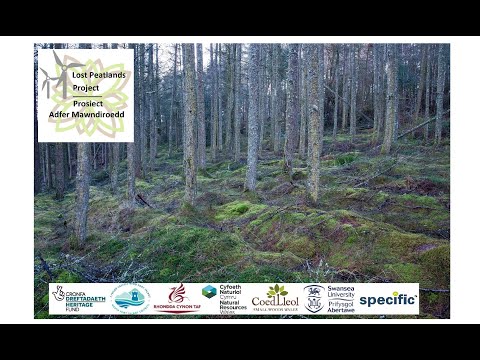 Biodiversity of Conifer Plantations- the Lost Peatlands Project