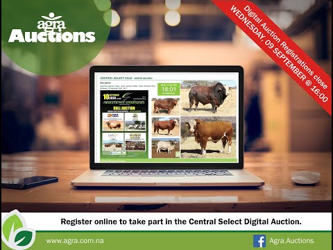 Central Select Digital Auction - Log in as bidder