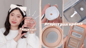 MY BEST UPDATE SO FAR 😭 PROJECT PAN UPDATE #22