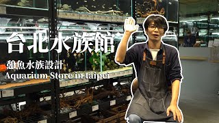 【憩魚水族】台北的水族館一起來養魚吧!