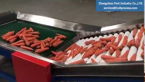 carrot grading equipment, carrot sorting machine (First Industry)