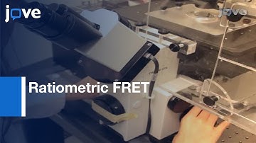 Monitoring Kinase & Phosphatase Activities Through Cell Cycle By Ratiometric FRET l Protocol Preview