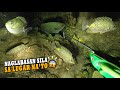 Naglabasan sila sa lugar nato  episode 170  night spearfishing phil   drins adventure  katusok