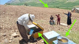 Nomadic beekeeping: keeping bees in the old nomadic way.