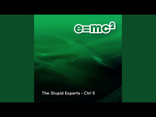 THE STUPID EXPERTS - Ctrl S
