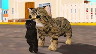 СИМУЛЯТОР Маленького КОТЕНКА #2 Кошку для семьи котов Кида на #пурумчата
