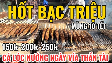 Hốt bạc Triệu ngày Vía Thần Tài phố CÁ LÓC NƯỚNG MÍA LỚN NHẤT SÀI GÒN