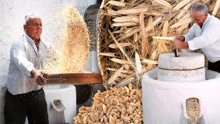 The oldest wheat: einkorn. Grain grinding in a stone mill and craftsmanship of this cereal