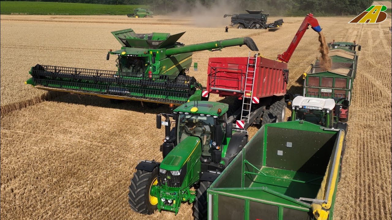 Großeinsatz Mais häckseln 2019 - Krone BigX 850, Claas Jaguar 970 farmer corn harvest Maisernte