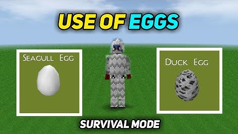 How to use eggs | mini block craft survival mode
