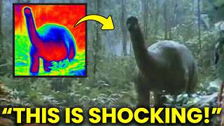 Download Lagu The Mokele Mbembe Is Real… And It Is Much Worse Than We Ever Imagined MP3 Download Lagu The Mokele Mbembe Is Real… And It Is Much Worse Than We Ever Imagined MP3