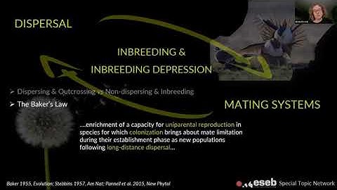 Introduction to  the ESEB STN "Joint evolution of dispersal and mating system"