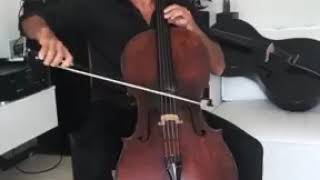 Stjepan Hauser   Sway with me