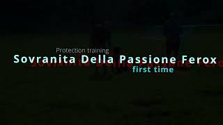 Sovranita Della Passione Ferox - first Protection training